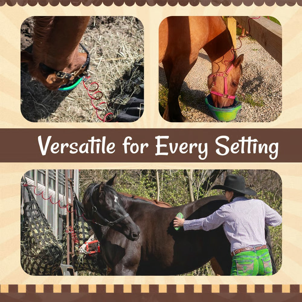 🔥Limited Time Discount 🔥Horse Stretch Spring Rope