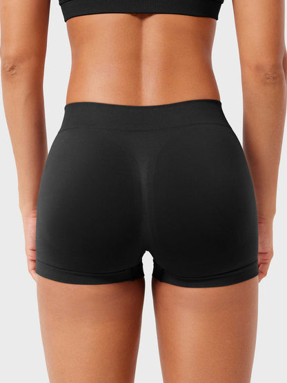 2.5" Low Rise Shorts
