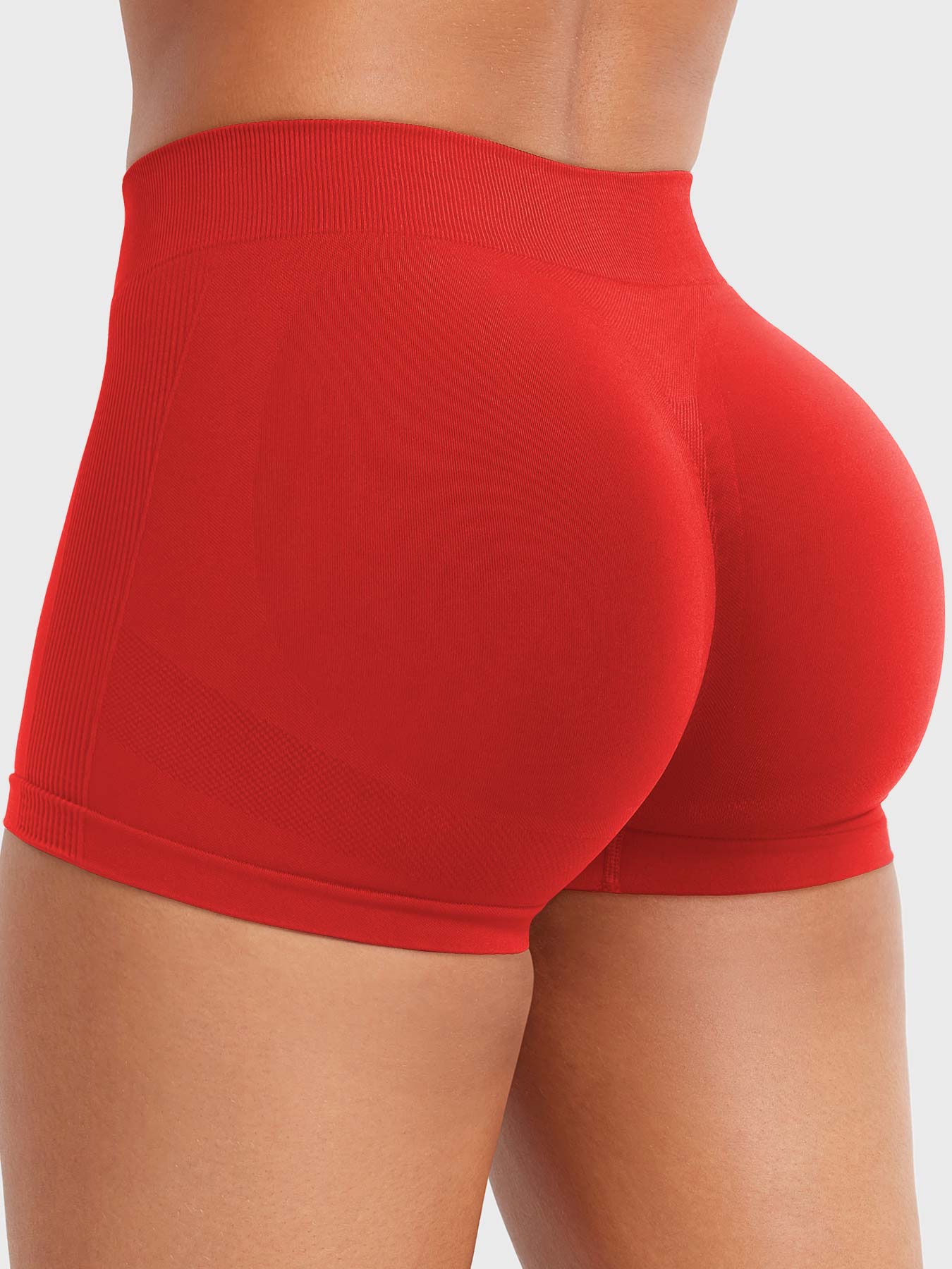 2.5" Low Rise Shorts