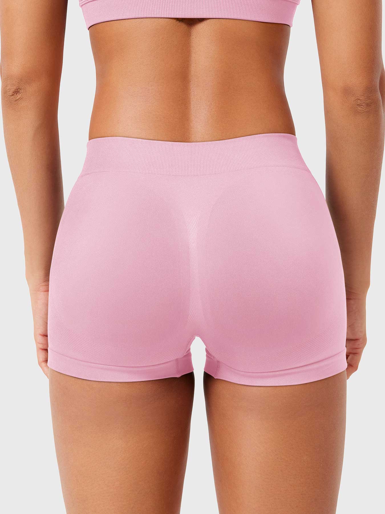 2.5" Low Rise Shorts