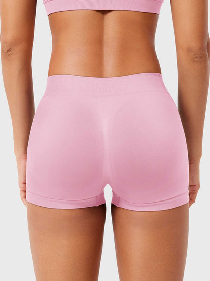 2.5" Low Rise Shorts