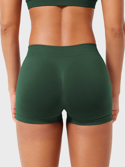 2.5" Low Rise Shorts
