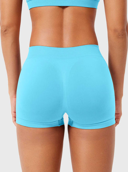 2.5" Low Rise Shorts