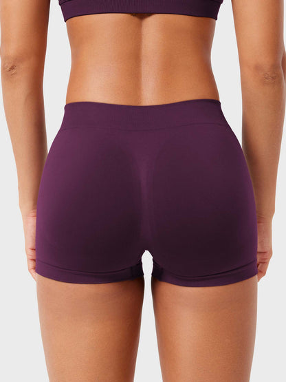 2.5" Low Rise Shorts