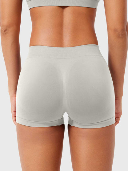 2.5" Low Rise Shorts
