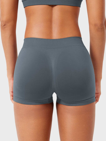 2.5" Low Rise Shorts