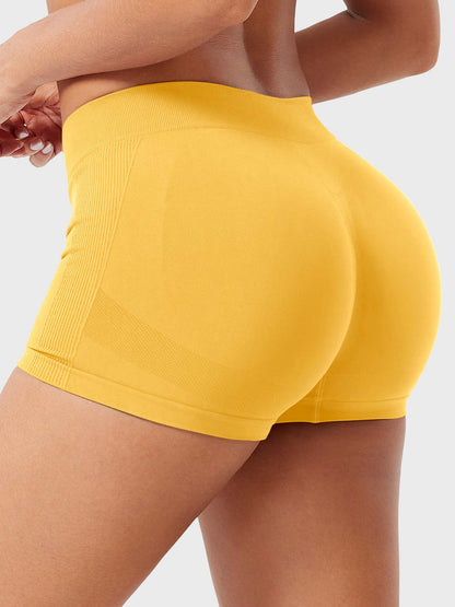 2.5" Low Rise Shorts
