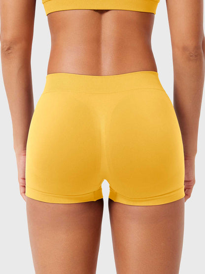 2.5" Low Rise Shorts